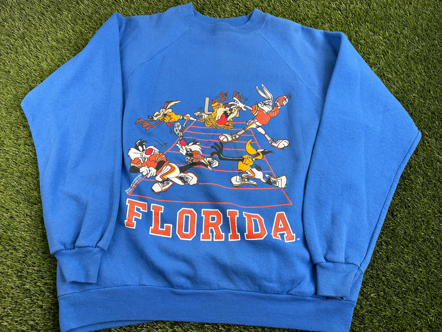 Vintage Florida Gators Looney Tunes Sweatshirt - L