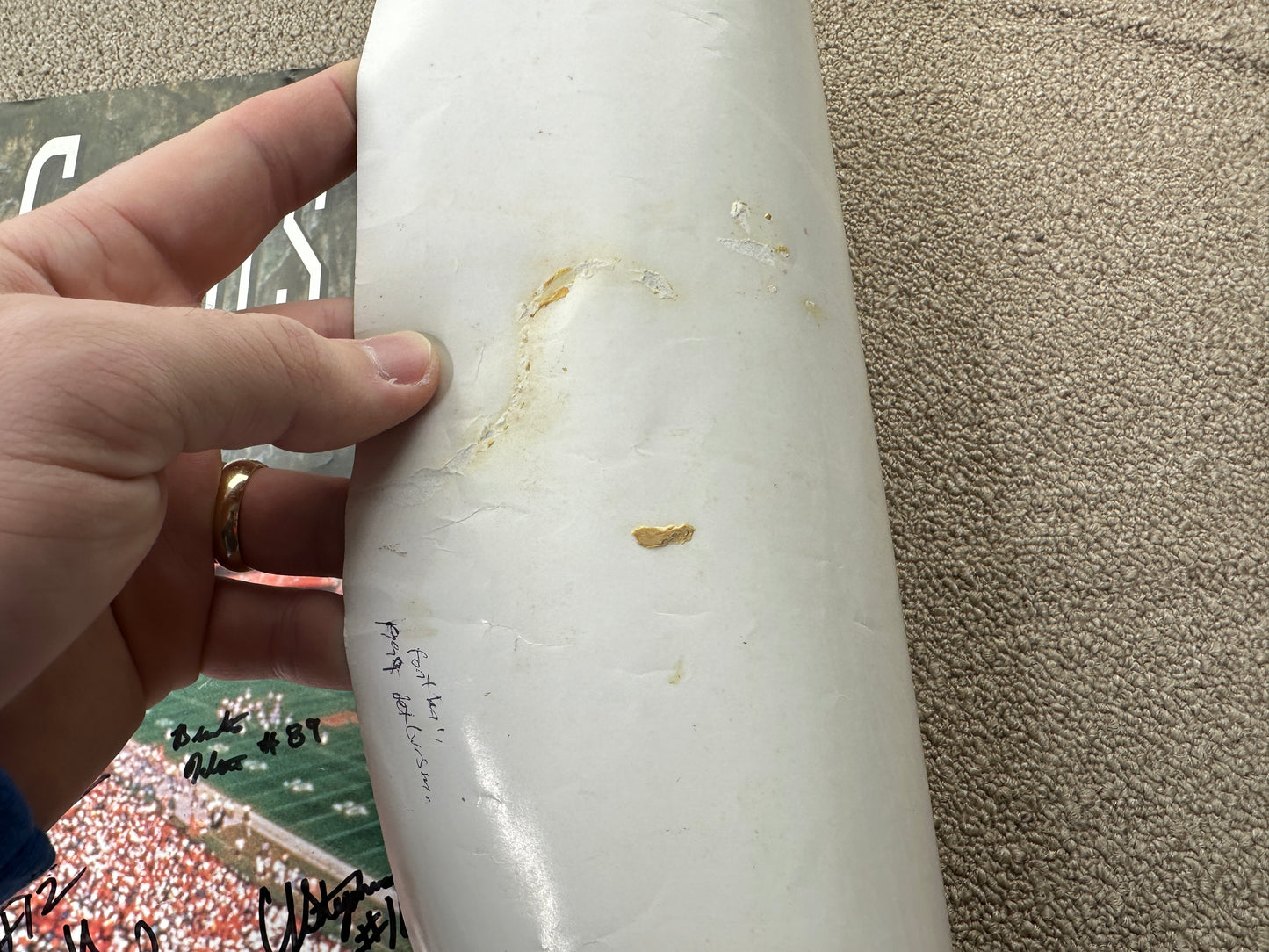 Vintage Florida Gators Football 1999 Poster