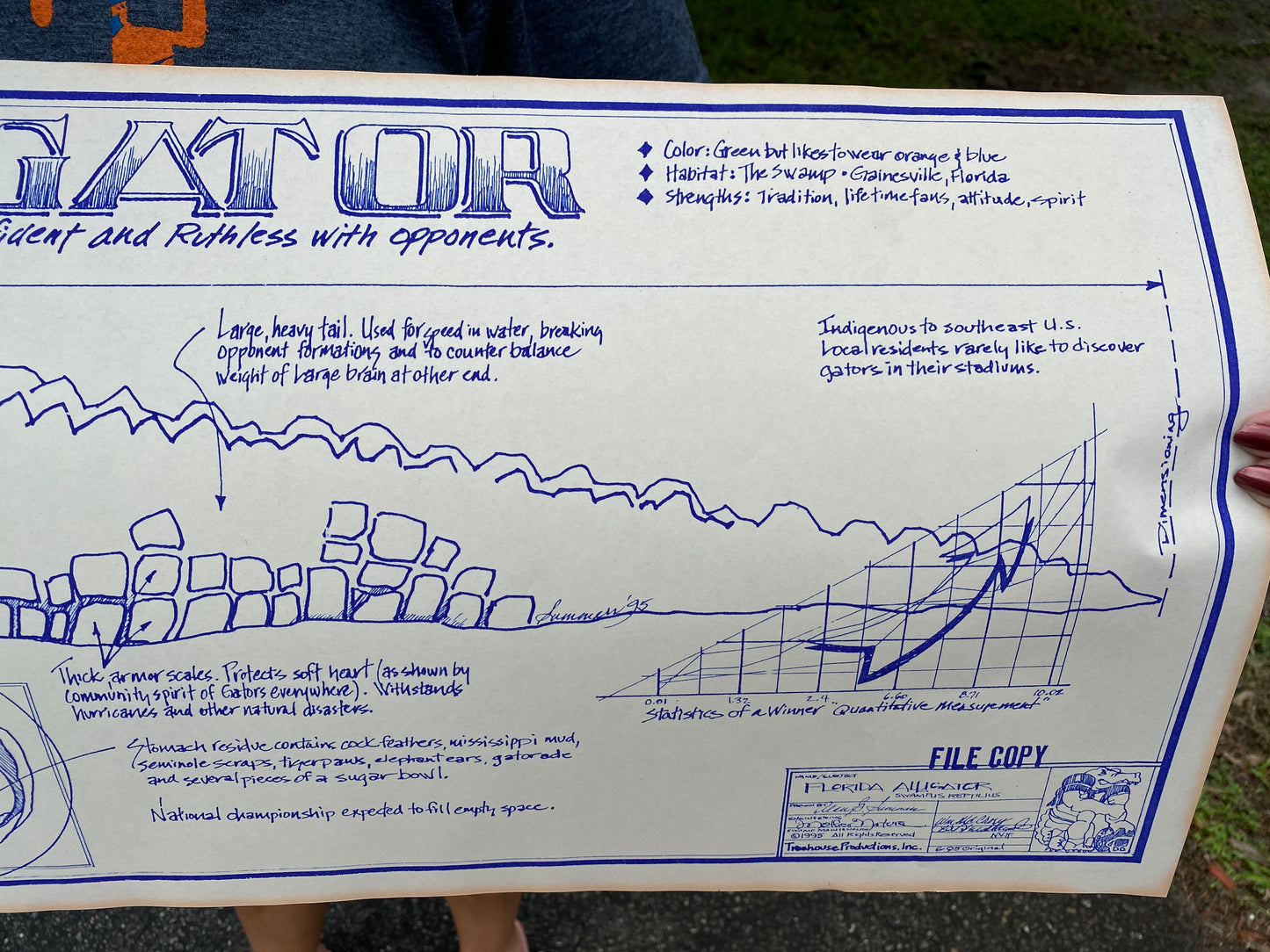 Vintage Florida Gators Blueprint Poster
