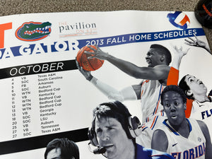 Florida Gators Fall Sports 2013 Poster