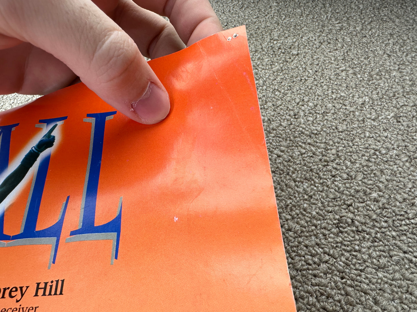 Vintage Florida Gators Football 1994 Poster