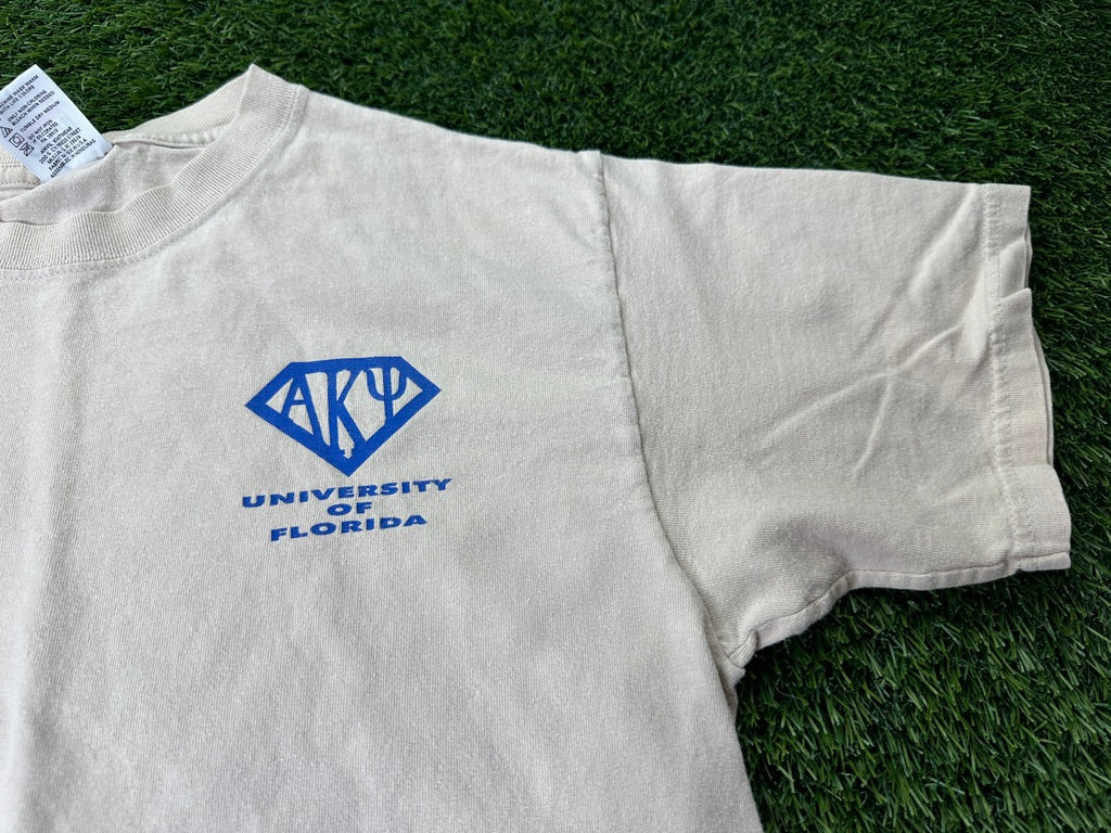 Vintage University of Florida 2000 Alpha Kappa Psi Shirt - S