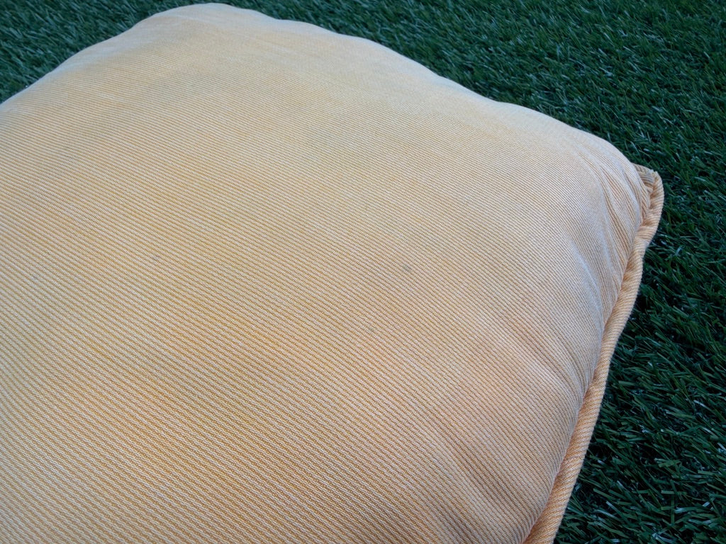 Vintage Florida Gators Pillow