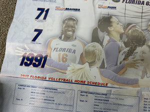 Florida Gators Volleyball 2013 Poster