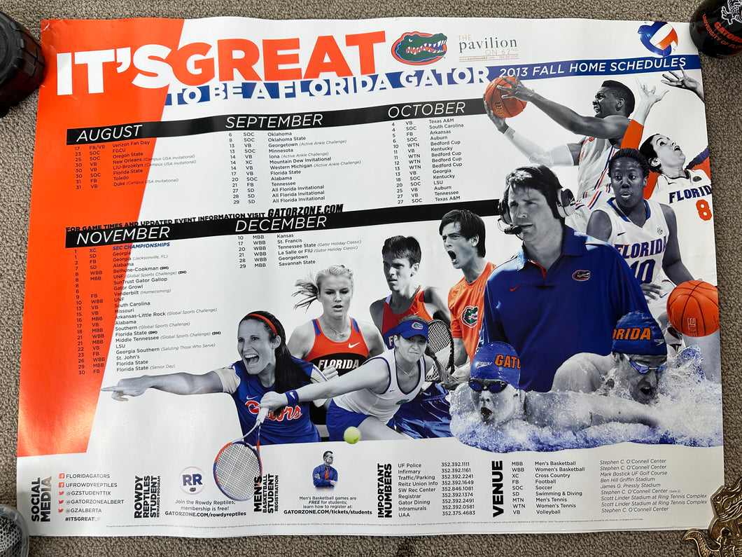 Florida Gators Fall Sports 2013 Poster