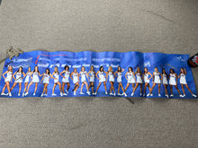 Load image into Gallery viewer, Florida Gators Dazzlers 08-09 Poster
