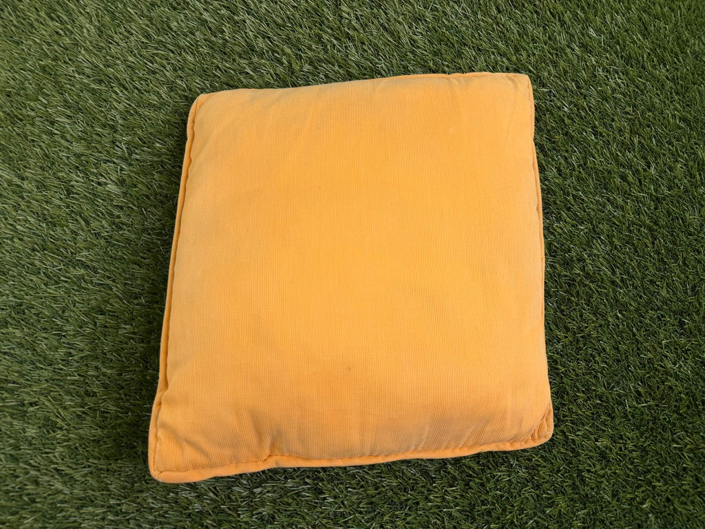 Vintage Florida Gators Pillow