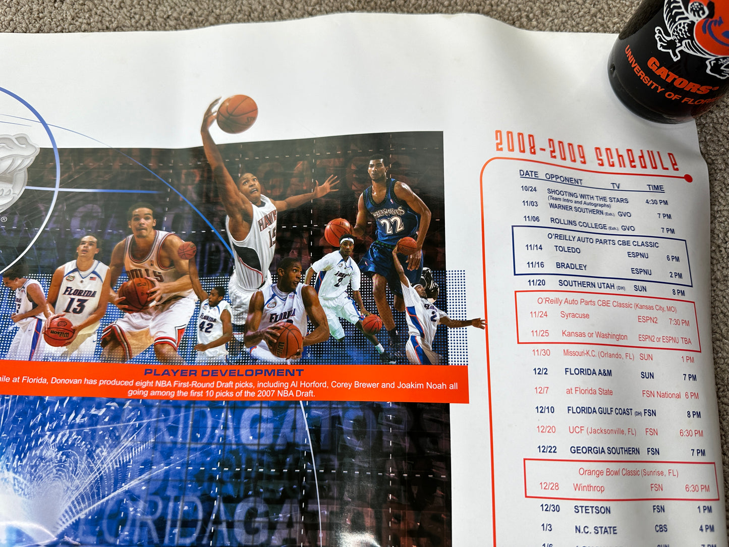 Florida Gators Basketball 08-09 Poster