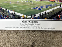 Load image into Gallery viewer, Florida Gators Football Stadium 2009 Senior Day Poster
