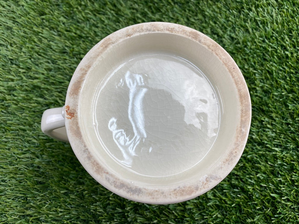 1950 University of Florida Phi Gamma Delta Stein Mug "Paul"