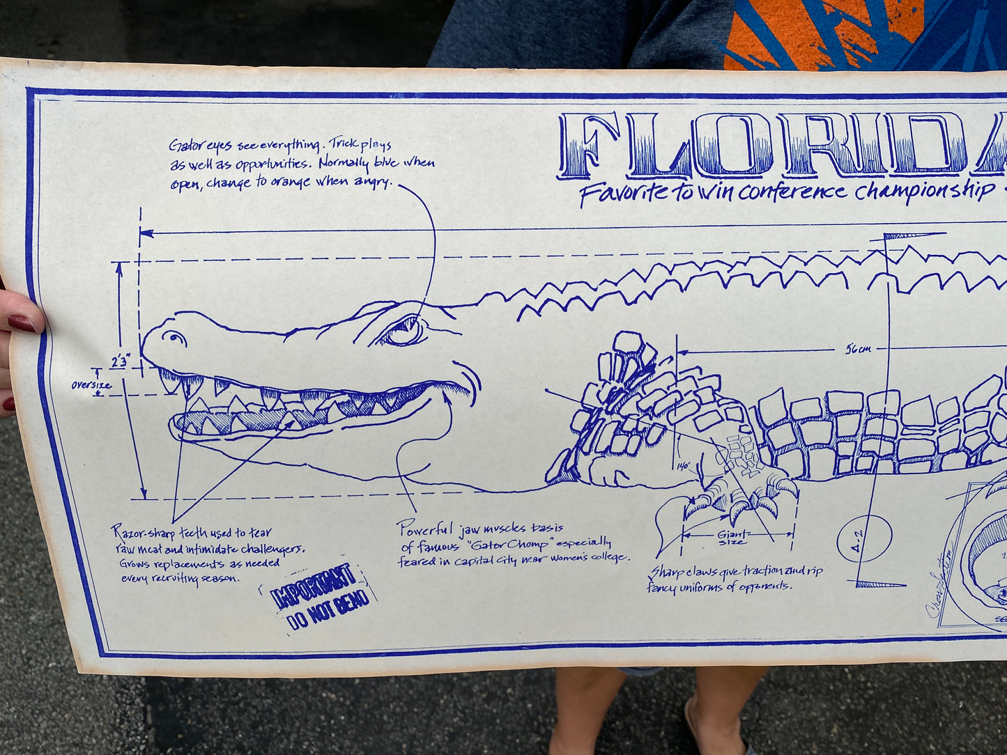 Vintage Florida Gators Blueprint Poster