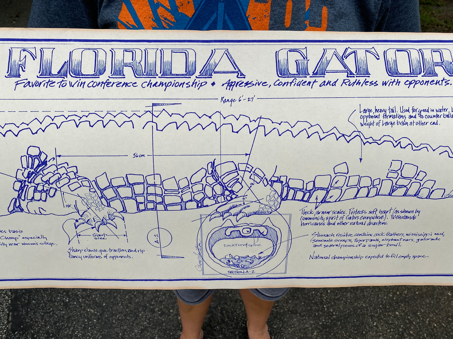 Vintage Florida Gators Blueprint Poster