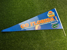 Load image into Gallery viewer, Vintage Florida Gators 1995 National Championship Plastic Pennant
